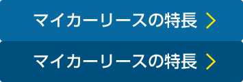 マイカーリースの特長